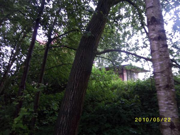 Bahnhof15
